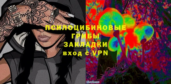 PSILOCYBIN Алексеевка