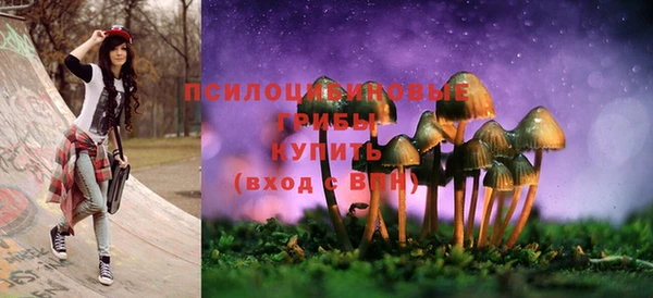 PSILOCYBIN Алексеевка