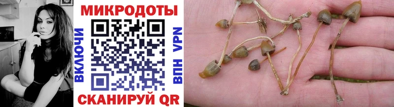 мориарти клад  Карабулак  Галлюциногенные грибы прущие грибы 