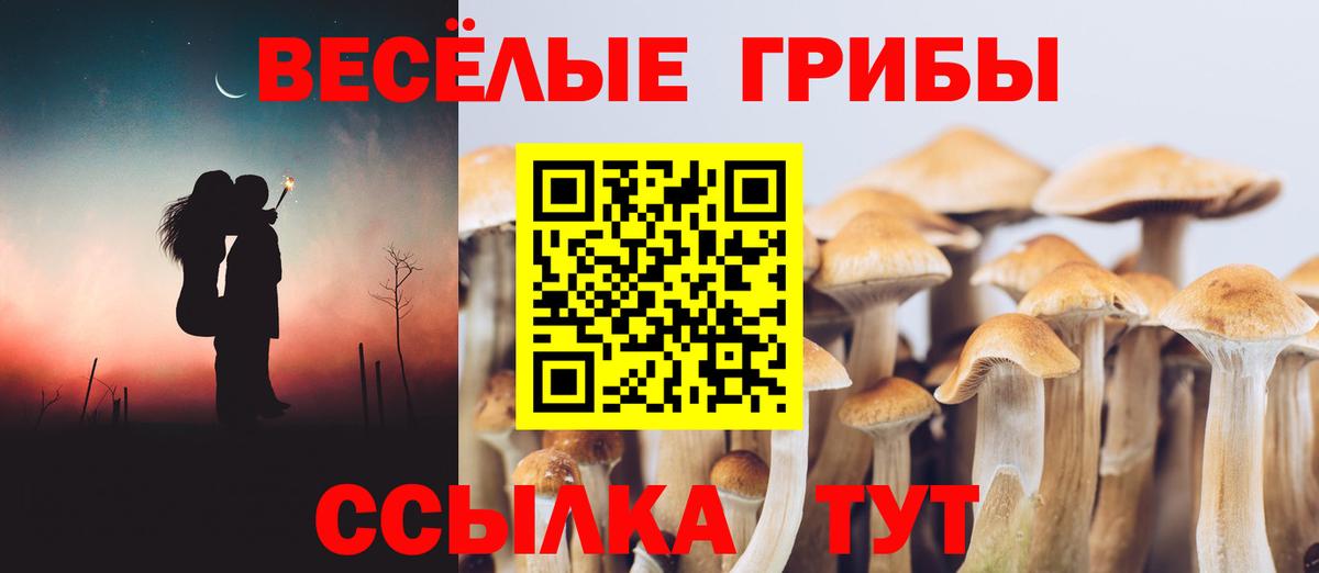 Галлюциногенные грибы Magic Shrooms Карабулак